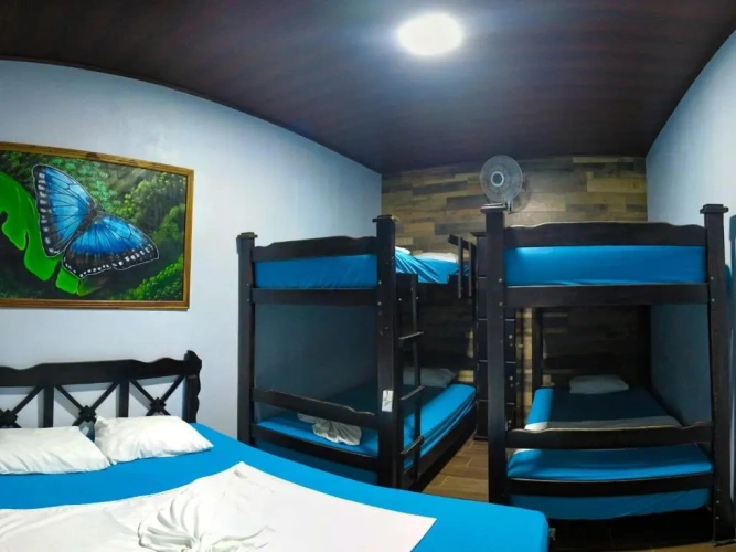 Bed in Dorm
