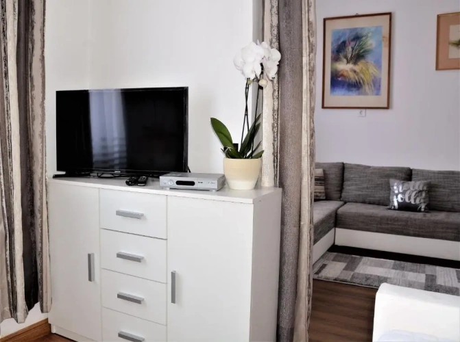 1 Bedroom Suite
