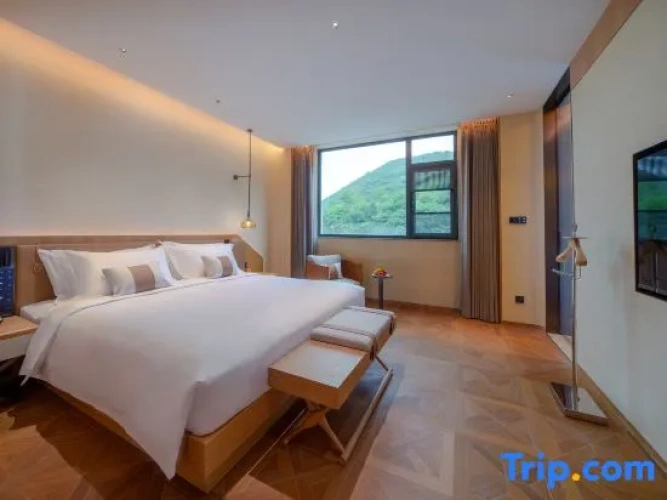 Premier Suite