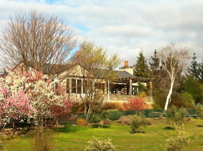 Grey Ridge Vineyard Experience