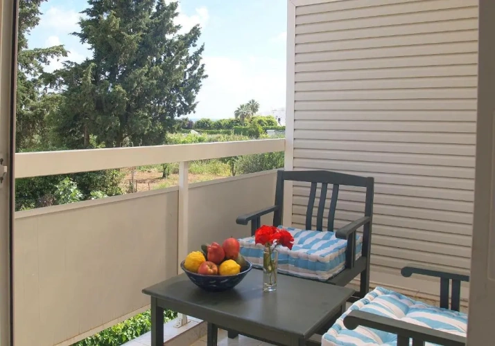 Duplex Apartment with balcony and with view