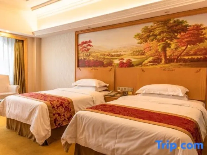Standard Twin room with city view