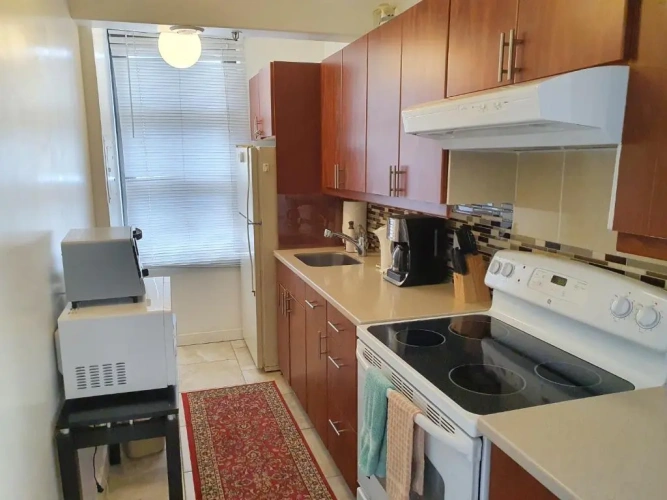 Deluxe Apartment