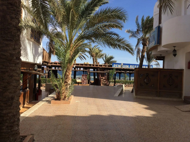 Penguin Village Dahab
