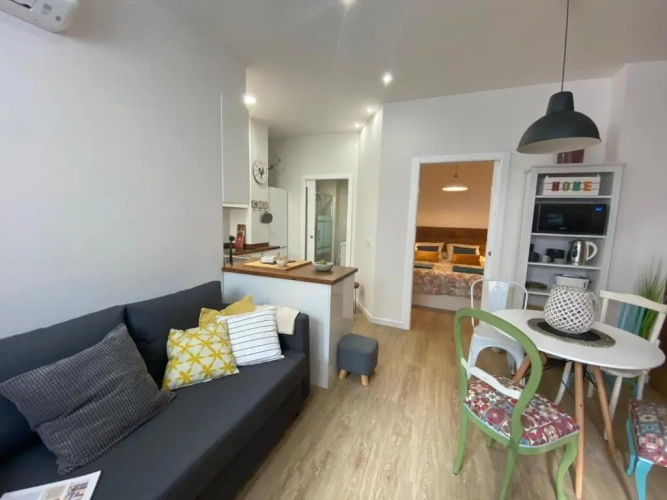 1 Bedroom Apartment