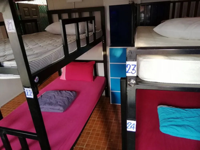 Neverland Hostel(เนฟเวอร์แลนด์ โฮสเทล)
