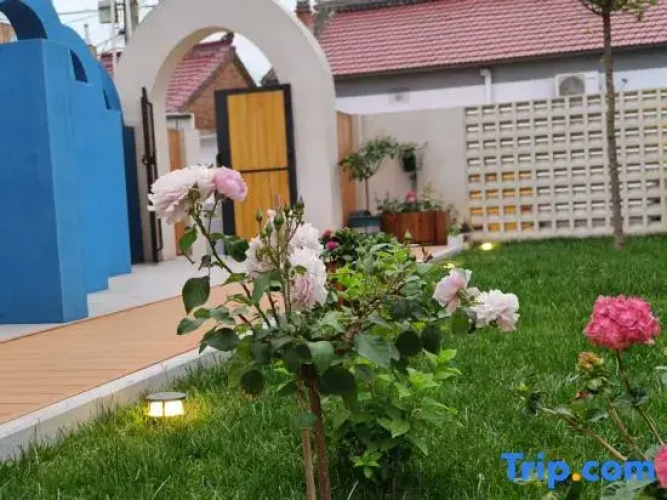Qingyu Case Homestay