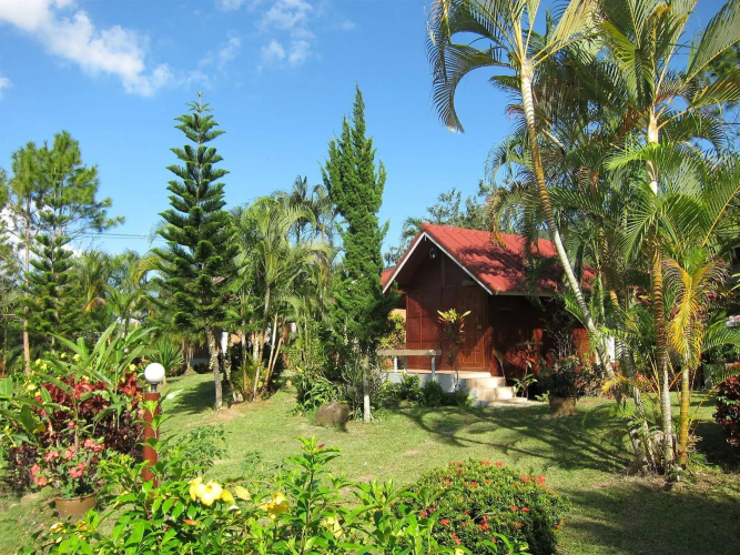 Thai Loei 300 Pee Resort