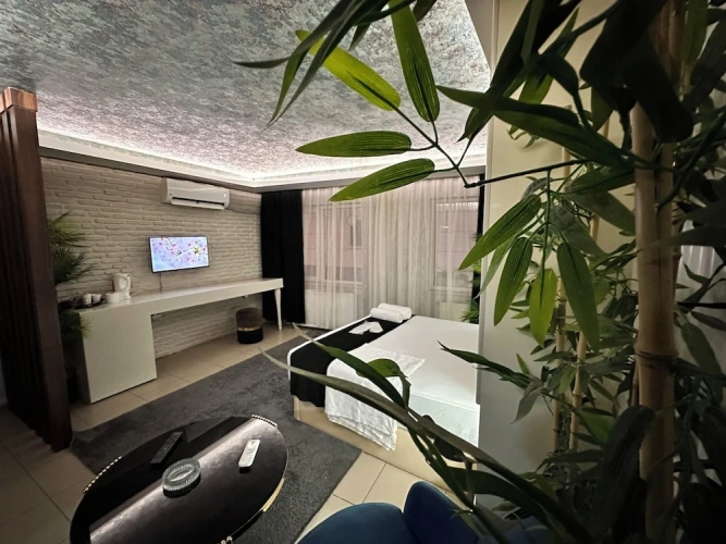 Superior Suite