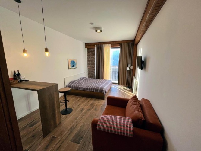 1 Bedroom Apartment