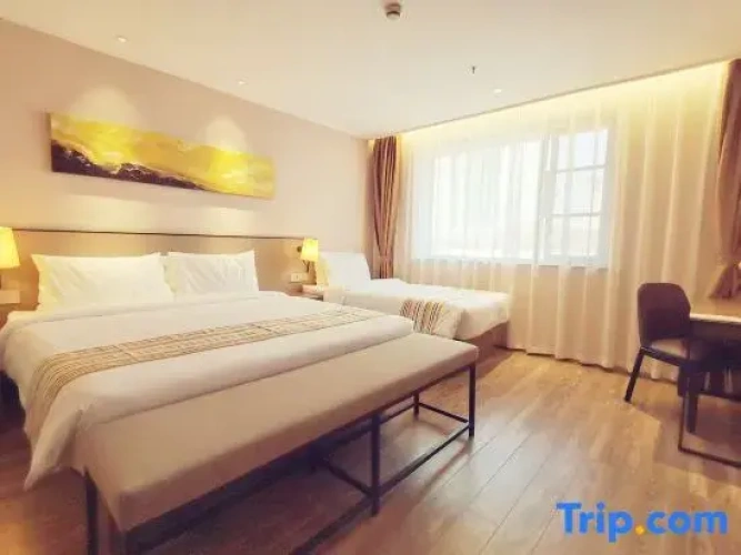 Single Suite