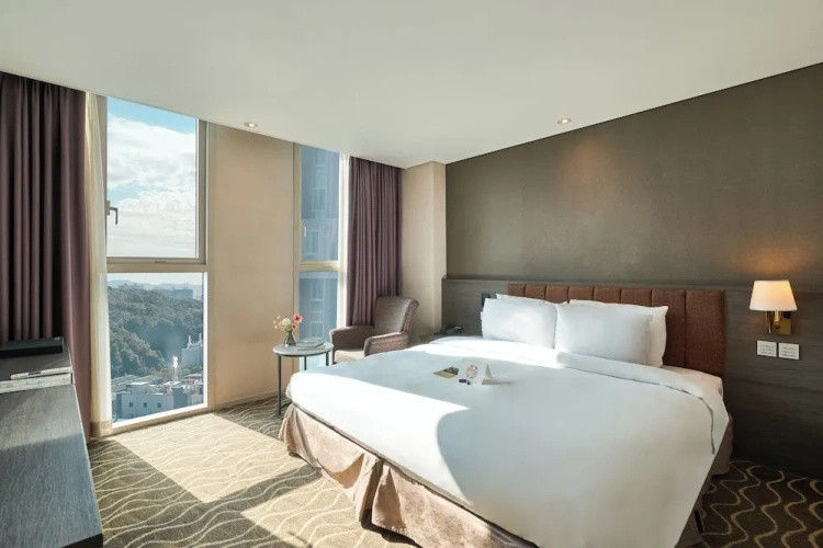Standard Double room with city view