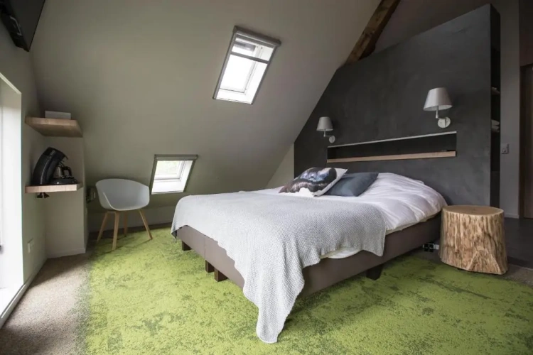 Deluxe Suite with view