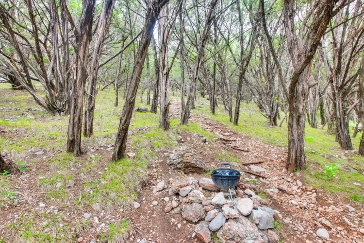 Cedar Falls Cabins #6: Hillside w/ Views!
