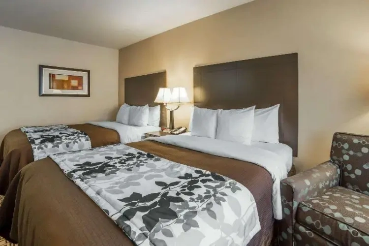Standard Sextuple room
