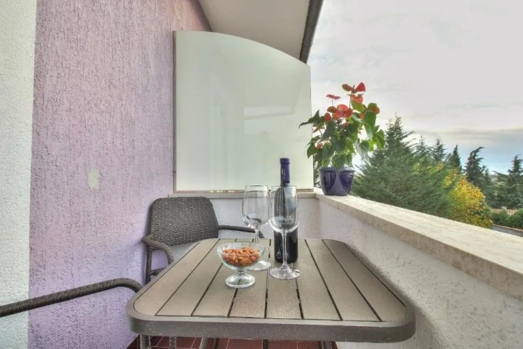 Standard Double room with balcony and with view