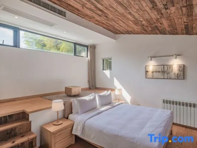 Duplex Suite