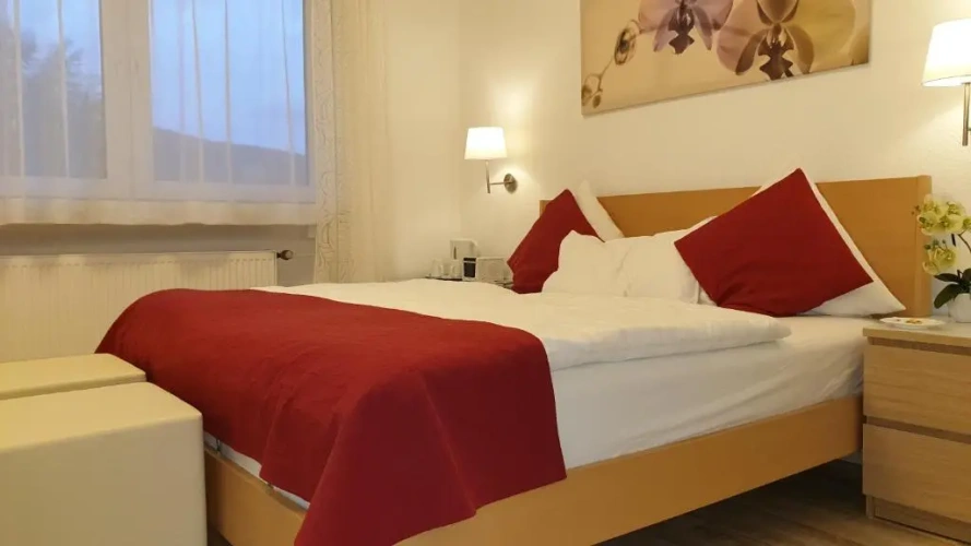 Standard Double room with balcony and with view