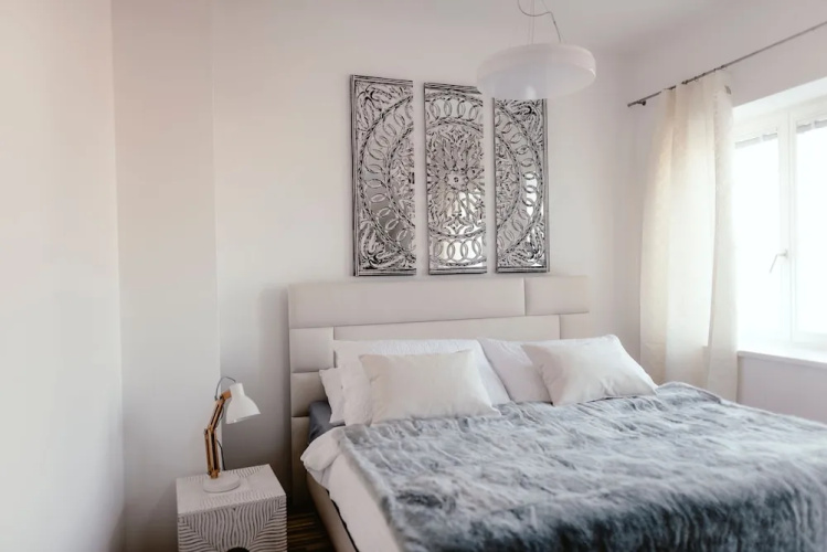 Luxury Apartments Zelny Trh
