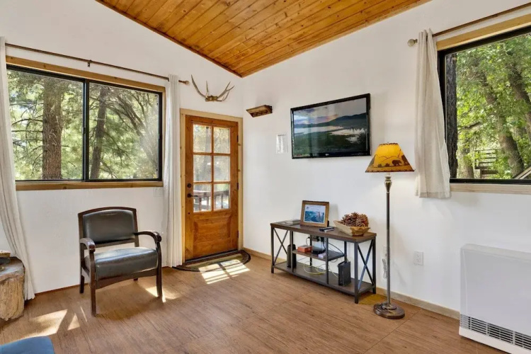 Bear Forest Cabin #2553