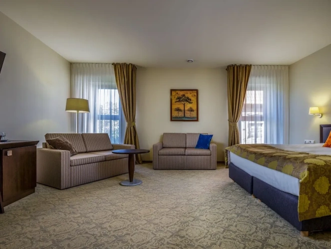 Luxury Suite