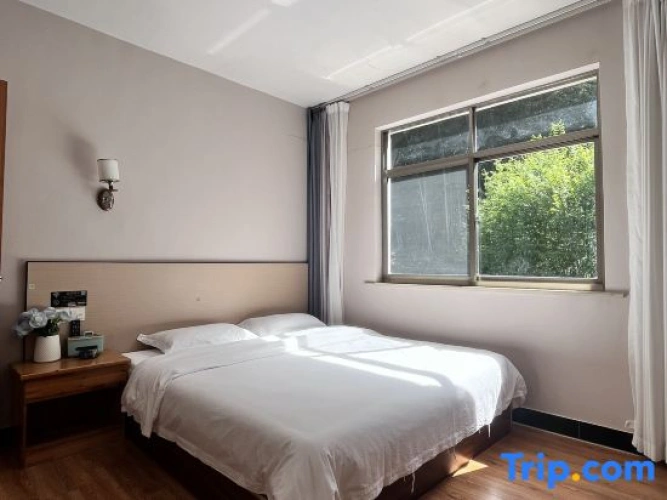 Standard Double room with mountain view
