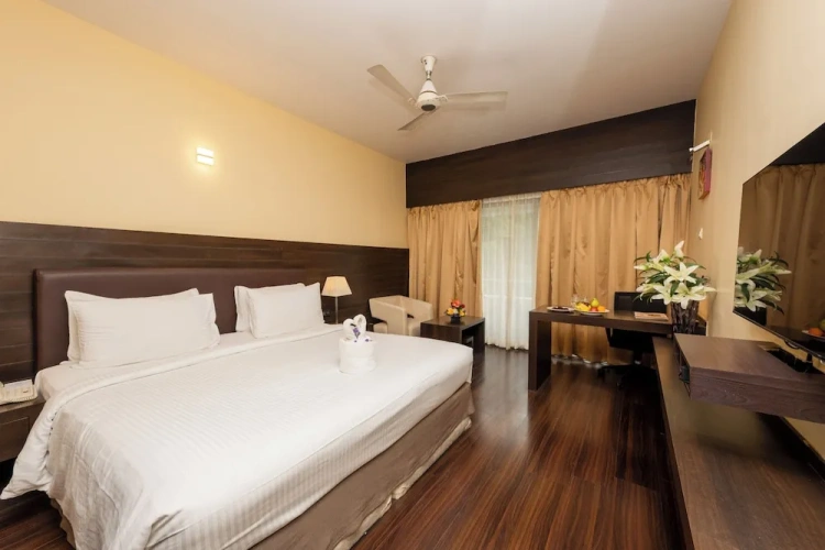 Deluxe Double room with balcony and with pool view
