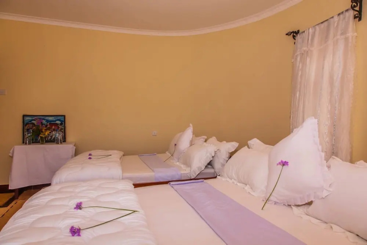 Amazing Accommodation in Arusha Furaha Lodge