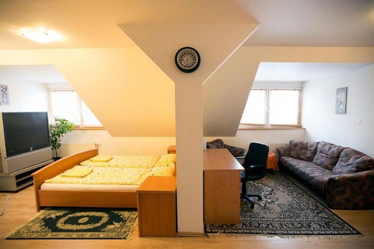 Deluxe Suite with view