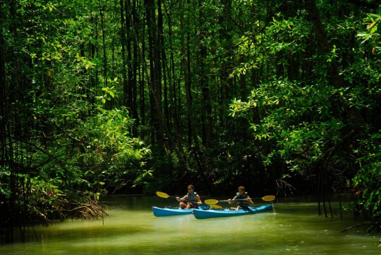 Playa Nicuesa Rainforest Lodge photo 12