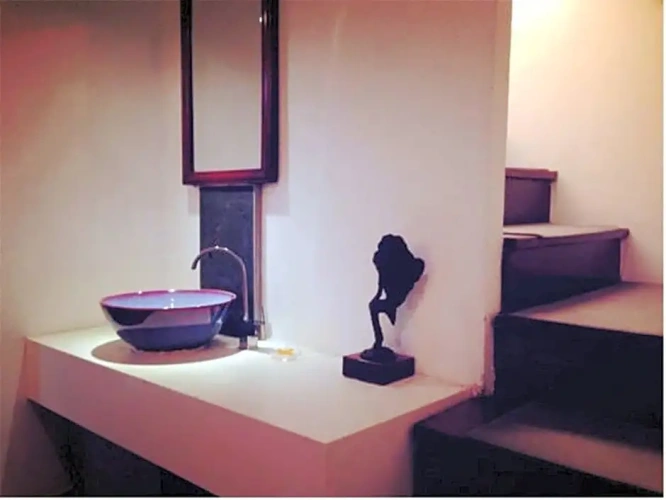 Duplex Suite