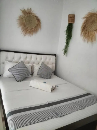 Luxurious Studio Apartments