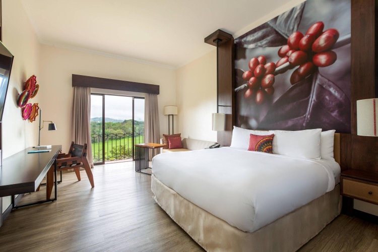 Standard Double room with mountain view