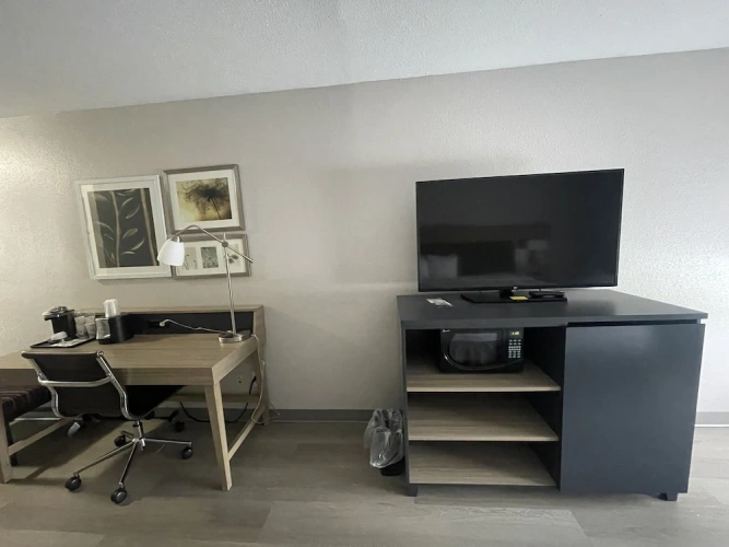 1 Bedroom Suite