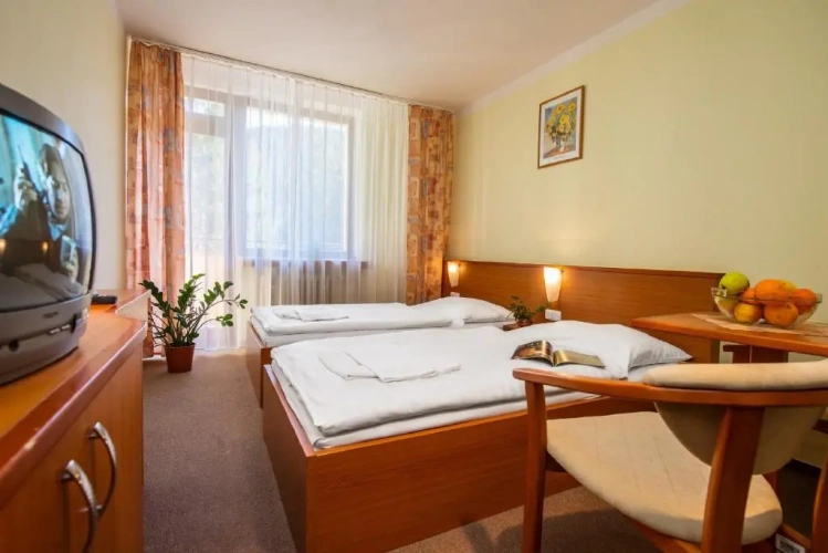 Standard Double room with balcony and with view