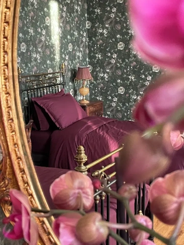 Comfort Twin room with garden view