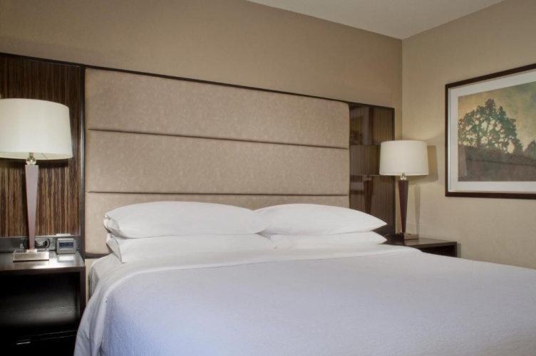 1 Bedroom Double Accessible Suite
