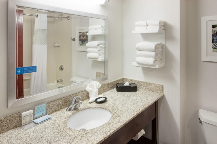 Hampton Inn St. Louis-Downtown (At the Gateway Arch) photo 10