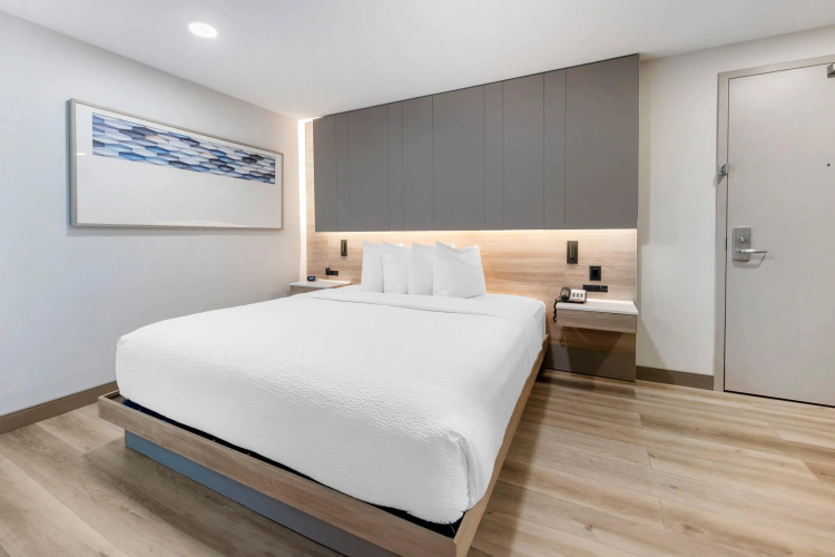 The Capitol Hotel Downtown, an Ascend Hotel Collection photo 6