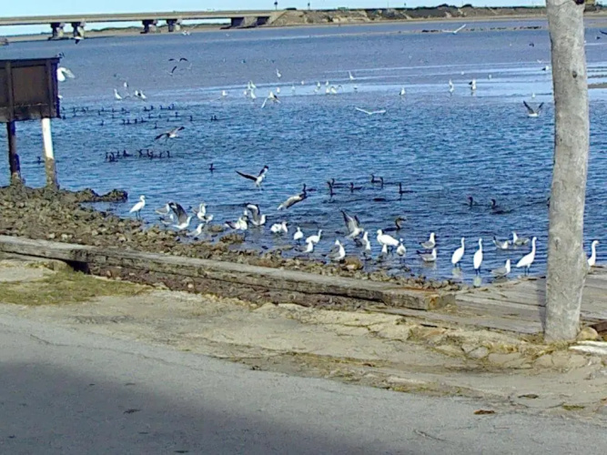 Riverfront close to beach