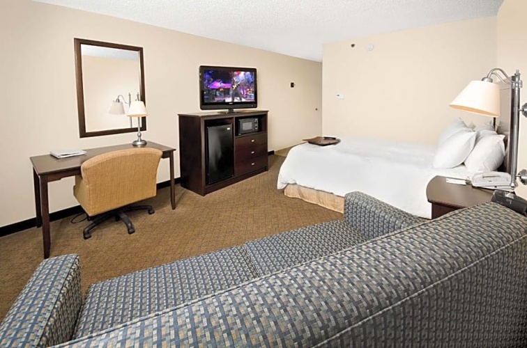 1 Bedroom Suite