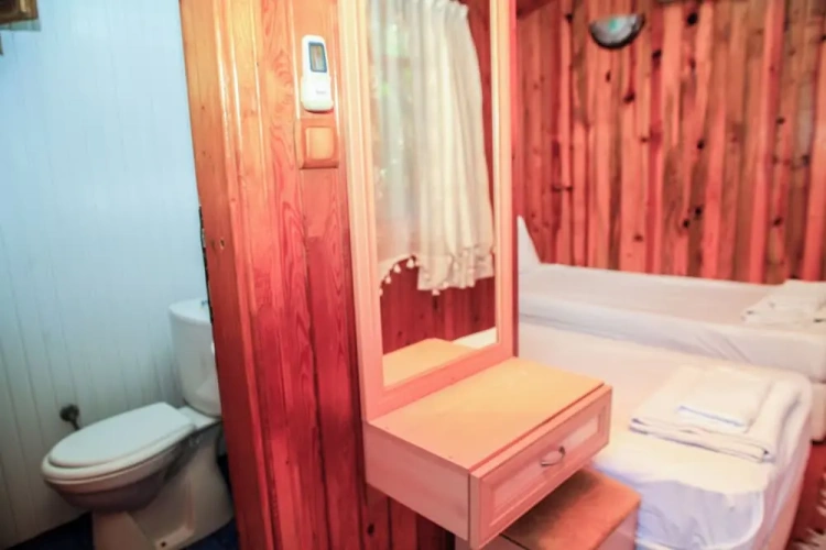 Standard Twin room with garden view
