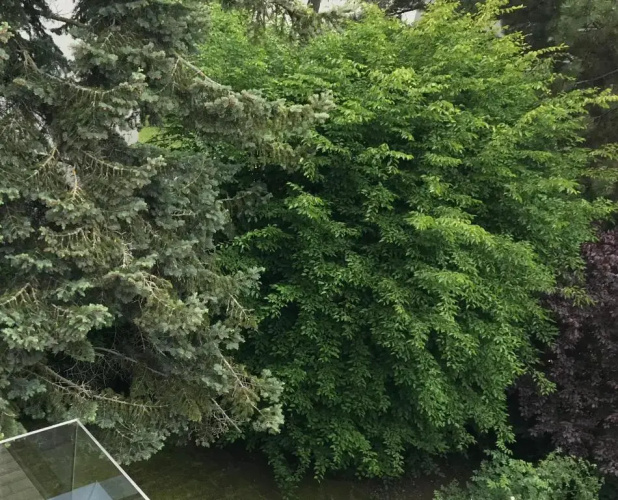 Premium Green Apartments Vienna