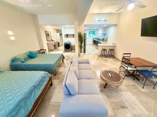1 Bedroom Classic Apartment