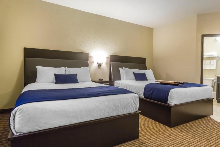 Quadruple Suite