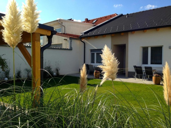 1 Bedroom Apartment with view