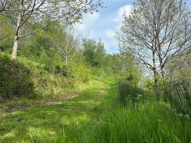 Cottage