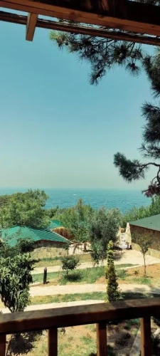 Bungalow