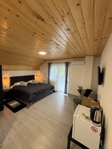 Deluxe Double room with balcony and with garden view