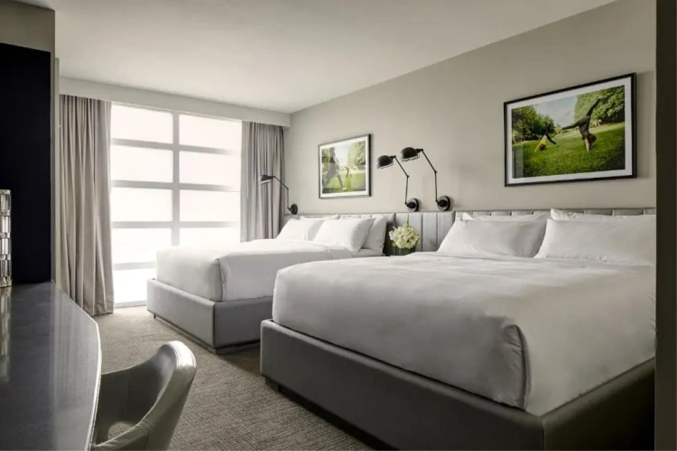 Standard Double room